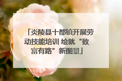炎陵县十都镇开展劳动技能培训 绘就“致富有路”新图景