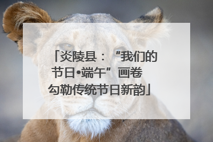 炎陵县：“我们的节日•端午”画卷 勾勒传统节日新韵