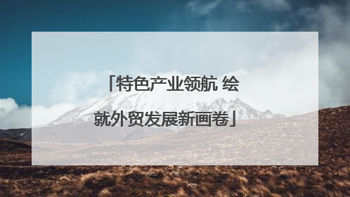 特色产业领航 绘就外贸发展新画卷