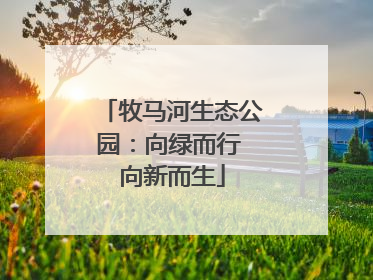 牧马河生态公园：向绿而行 向新而生