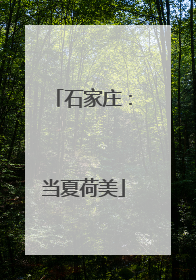 石家庄：当夏荷美