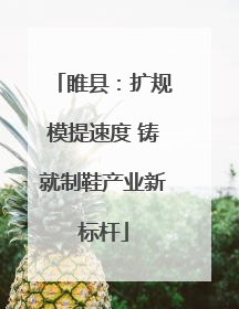 睢县：扩规模提速度 铸就制鞋产业新标杆