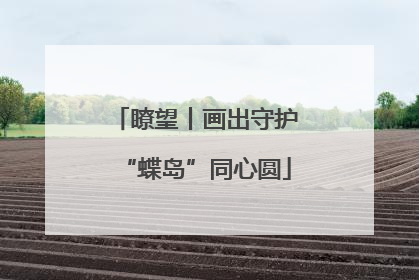 瞭望丨画出守护“蝶岛”同心圆