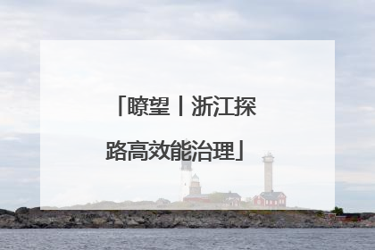瞭望丨浙江探路高效能治理