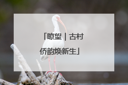 瞭望｜古村侨韵焕新生