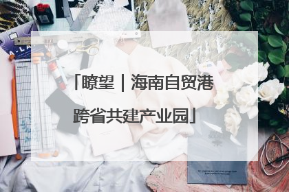 瞭望｜海南自贸港跨省共建产业园
