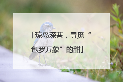 琼岛深巷，寻觅“包罗万象”的甜
