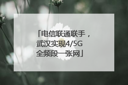 电信联通联手，武汉实现4/5G全频段一张网