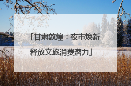 甘肃敦煌：夜市焕新释放文旅消费潜力