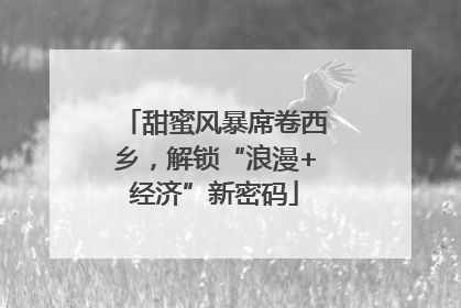 甜蜜风暴席卷西乡，解锁“浪漫+经济”新密码