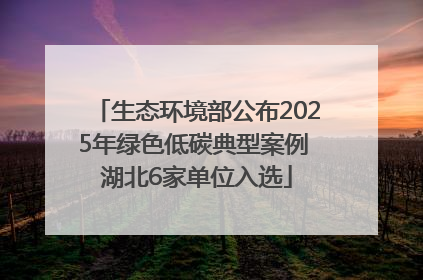 生态环境部公布2025年绿色低碳典型案例 湖北6家单位入选