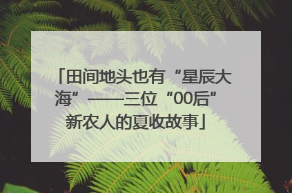 田间地头也有“星辰大海”——三位“00后”新农人的夏收故事