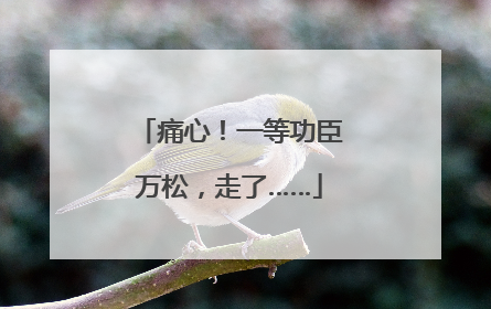 痛心！一等功臣万松，走了……