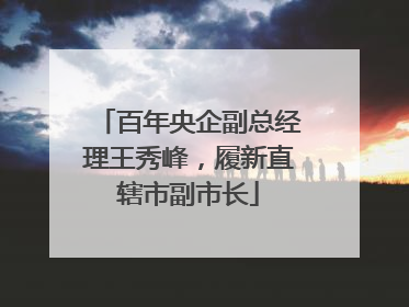 百年央企副总经理王秀峰，履新直辖市副市长