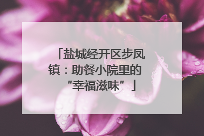 盐城经开区步凤镇：助餐小院里的“幸福滋味”