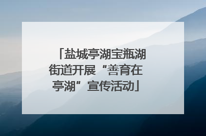 盐城亭湖宝瓶湖街道开展“善育在亭湖”宣传活动
