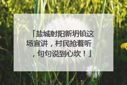 盐城射阳新坍镇这场宣讲，村民抢着听，句句说到心坎！
