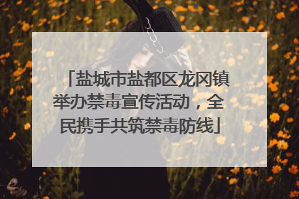 盐城市盐都区龙冈镇举办禁毒宣传活动，全民携手共筑禁毒防线