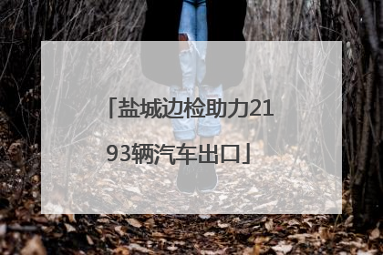 盐城边检助力2193辆汽车出口