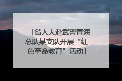 省人大赴武警青海总队某支队开展“红色革命教育”活动