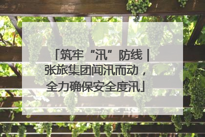 筑牢“汛”防线｜张旅集团闻汛而动，全力确保安全度汛