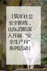 筑牢社会安全防线，山东消防深入开展“安全生产月”系列活动