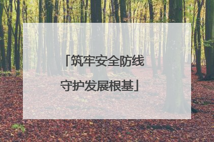 筑牢安全防线 守护发展根基