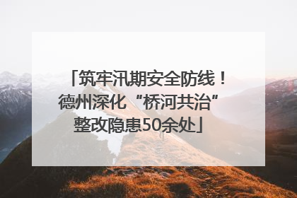 筑牢汛期安全防线！德州深化“桥河共治”整改隐患50余处