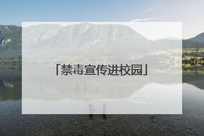 禁毒宣传进校园