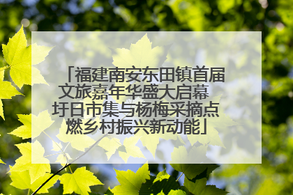 福建南安东田镇首届文旅嘉年华盛大启幕 圩日市集与杨梅采摘点燃乡村振兴新动能