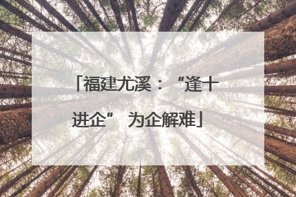 福建尤溪：“逢十进企” 为企解难