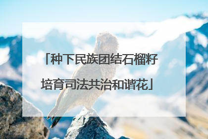 种下民族团结石榴籽 培育司法共治和谐花