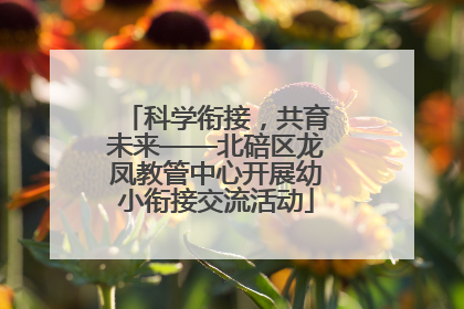 科学衔接，共育未来——北碚区龙凤教管中心开展幼小衔接交流活动