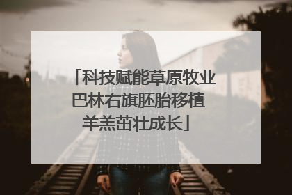 科技赋能草原牧业 巴林右旗胚胎移植羊羔茁壮成长
