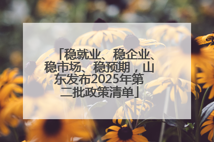 稳就业、稳企业、稳市场、稳预期，山东发布2025年第二批政策清单