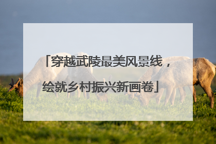 穿越武陵最美风景线，绘就乡村振兴新画卷