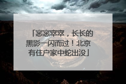 窸窸窣窣，长长的黑影一闪而过！北京有住户家中蛇出没