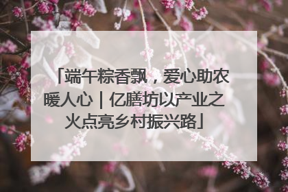 端午粽香飘，爱心助农暖人心｜亿膳坊以产业之火点亮乡村振兴路