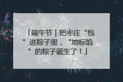 端午节｜把枣庄“包”进粽子里，“地标馅”的粽子诞生了！