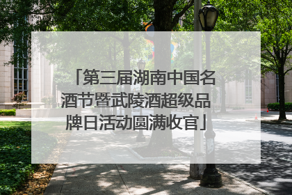 第三届湖南中国名酒节暨武陵酒超级品牌日活动圆满收官