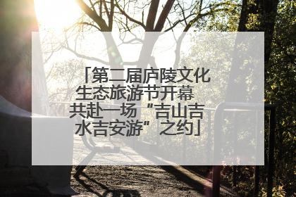 第二届庐陵文化生态旅游节开幕 共赴一场“吉山吉水吉安游”之约