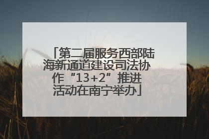第二届服务西部陆海新通道建设司法协作“13+2”推进活动在南宁举办