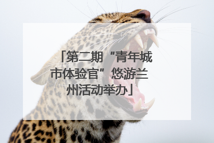 第二期“青年城市体验官”悠游兰州活动举办