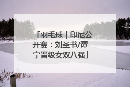羽毛球｜印尼公开赛：刘圣书/谭宁晋级女双八强