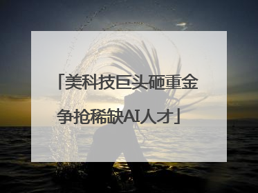 美科技巨头砸重金争抢稀缺AI人才