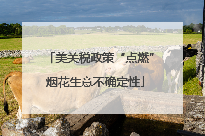 美关税政策“点燃”烟花生意不确定性