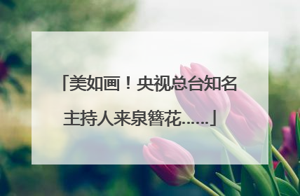 美如画！央视总台知名主持人来泉簪花……