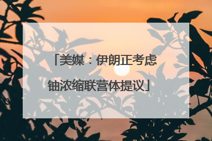 美媒：伊朗正考虑铀浓缩联营体提议