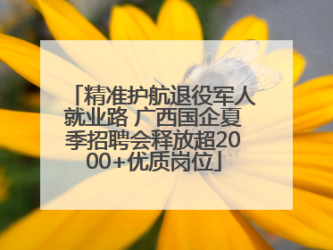 精准护航退役军人就业路 广西国企夏季招聘会释放超2000+优质岗位