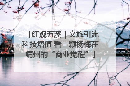 红观五溪｜文旅引流 科技增值 看一颗杨梅在靖州的“商业觉醒”